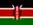 country-flag