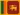 country-flag