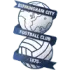 Birmingham Football Team Results