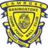 Basingstoke Football Team Results
