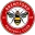 Brentford Football Team Results