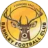 Bashley Football Team Results