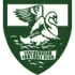 Leatherhead Football Team Results