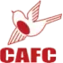 Carshalton Ath Football Team Results