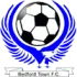 Bedford Town Football Team Results