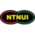 NTNUI Football Team Results