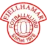 Fjellhamar Football Team Results