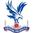 Crystal Palace Football Team Results