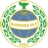 Sandnes Ulf Football Team Results