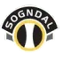 Sogndal Football Team Results
