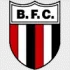 Botafogo SP B Football Team Results