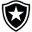 Botafogo Football Team Results