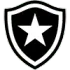 Botafogo Football Team Results