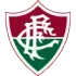 Fluminense Football Team Results