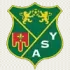 Yzeure Football Team Results