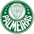 Palmeiras Football Team Results