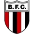 Botafogo XI Football Team Results