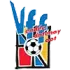 Vendee Fontenay Football Team Results