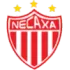 Necaxa Football Team Results