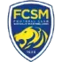 Sochaux Football Team Results