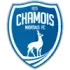Niort Football Team Results