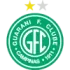 Guarani SP B Football Team Results