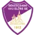 Bekescsabai Elore SE Football Team Results