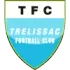 Trelissac FC Football Team Results
