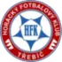 FK Trebic Football Team Results
