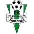 FK Jablonec U19 Football Team Results