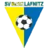 SV Lafnitz Football Team Results