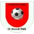 SK Steti Football Team Results