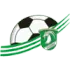 USC Eugendorf Football Team Results