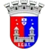 Torreense U19 Football Team Results