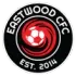 Eastwood Community Football Team Results