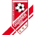 Gwarek Zabrze U19 Football Team Results