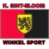Sint-Eloois-Winkel Football Team Results