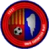 UE Olot Football Team Results