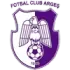FC Arges Pitesti Football Team Results