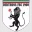 Derthona Football Team Results