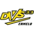 DVS'33 Ermelo Football Team Results