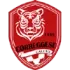 Correggese Football Team Results