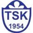 Tuzlaspor Football Team Results