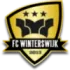 FC Winterswijk Football Team Results