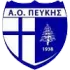 AO Peukis Football Team Results