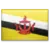Brunei U19
