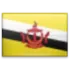 Brunei U19 Football Team Results