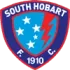 South Hobart Reserves Football Team Results