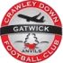 Crawley Down Football Team Results