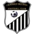 Chassieu Decines Football Team Results